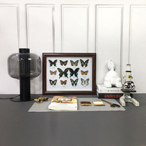 现代样板房书房摆件蝴蝶昆虫标本主图书桌家居软装饰品组合工艺品