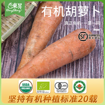 东升农场 有机胡萝卜 红萝卜胡芦菔 广州供港新鲜蔬菜配送 300g