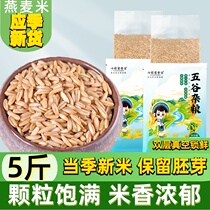 燕麦米新米5斤农家优质新鲜燕麦仁粒全胚芽米五谷杂粮煮粥粗粮饭