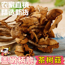 茶树菇新鲜开伞茶树菇干货农家特产广昌茶薪菇冰菇食用