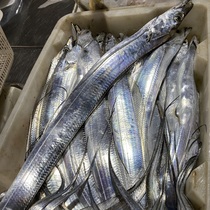 超大带鱼2斤2条装起小眼睛东海钓带大刀鱼海鲜水产顺丰
