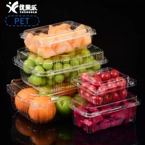 带盖带扣加厚一次性蔬菜水果包装盒沙拉生鲜肉类冷冻保鲜打包盒子