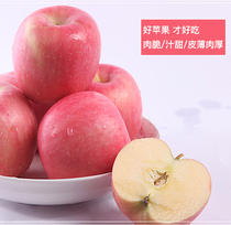 【代晴庄园】陕西宜川红富士苹果生态新鲜水果当季整箱24颗果13斤