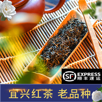 宜兴红茶2024特级早春茶袋装礼品茶叶小叶老品种500g