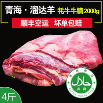 【溜达羊】青海牛腩4斤 新鲜生牛肉雪花牦牛现杀耗牛冷冻健身牛肉