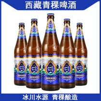 西藏青稞啤酒628ml*12瓶/4瓶 拉萨生产青稞啤酒