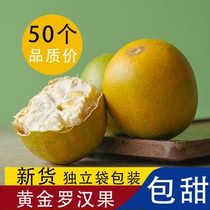 永福黄金罗汉果干果泡茶正品低温脱水非冻干小包装广西桂林特产