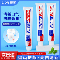 日本原装LION狮王大白牙膏WHITE亮白防蛀去黄牙垢去口臭牙渍120g