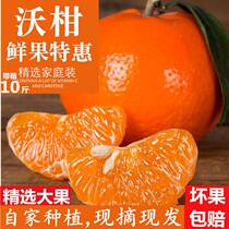 沃柑果10斤带箱广西武鸣澳柑桔新鲜水果一级袄柑橘子沃甘5