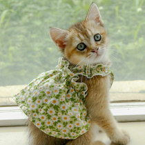 猫咪衣服夏季薄款幼猫可爱小裙子公主风小型犬泰迪宠物狗狗衣服