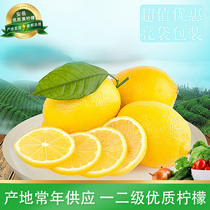 四川安岳新鲜优质一级黄柠檬水果皮薄多汁奶茶店用独立保鲜袋包装