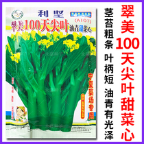 利坚翠美100天尖叶油青甜菜心种籽广东宁夏菜心种子青菜蔬菜种孑