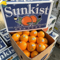 新奇士橙3107黑标箱装5-10斤国橙子产进口水果新鲜单果250-350克