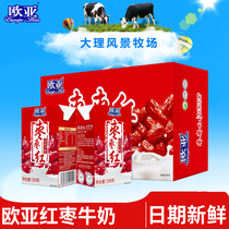 欧亚枣枣红红枣牛奶250g*24盒/箱早餐乳制品云南大理新日期发货
