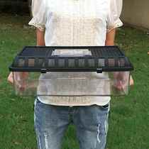 透明塑料金鱼缸开放式手提透气乌龟饲养盒黑盖宠物运输盒外带家用