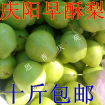 西北甘肃土特产庆阳早酥梨砀山梨脆甜鸭梨500g新鲜水果特价美食品