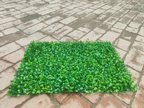 仿真草坪人工绿色户外阳台塑料人造装饰假草皮绿植室内背景摆放