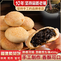闽臻紫菜饼闽式烧饼450g传统小吃香酥猪肉饼手工肉光饼咸香芝麻