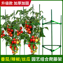 番茄双层爬藤架搭建蔬菜豆角瓜果黄瓜爬藤架种植花枝攀爬架支撑杆
