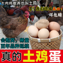 贵州农家散养新鲜正宗笨土鸡蛋野外放养月子孕妇宝宝蛋入户收购