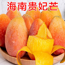 海南新鲜贵妃芒果好吃食用热带果当季薄皮中大果（普通快递）
