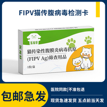 猫传腹测试纸FIPV检测卡宠物猫咪新生传染病毒腹水猫瘟测试纸检查