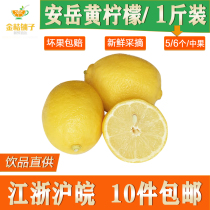【5-6个】四川安岳黄柠檬尤力克1斤装满10斤包邮皮薄多汁酸新鲜