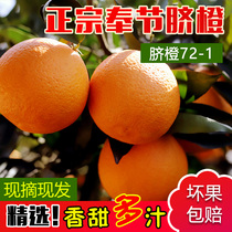 【普通快递】正宗重庆奉节脐橙72-1现摘现发新鲜当季橙子孕妇儿童