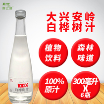 大兴安岭白桦树原汁 0添加 含量百分百 桦树汁 300毫升一箱6瓶