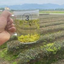 新品【精品茶片】2023新茶安吉珍稀白茶茶片高货高白化500g高山绿