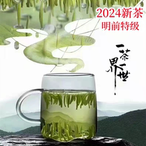 2024新茶头采特级开化龙顶明前茶高山茶雀舌嫩芽春茶绿茶产地直发