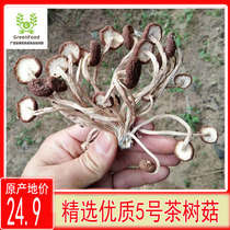 广昌茶树菇干货500g农家不开伞茶树菇养生煲汤火锅干锅食材