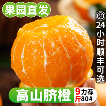 伦晚脐橙5斤香橙当季秭归薄皮橙子新鲜手剥橙整箱甜橙水果包邮10