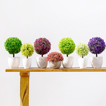 仿真花套装仿真植物假花盆栽摆设家居客厅绿植塑料花球多肉小盆景