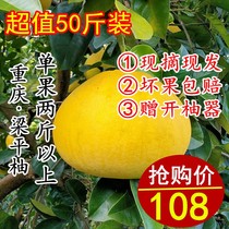 重庆特产梁平柚子老树新鲜柚子平顶柚水果50斤包邮 单果两斤以上