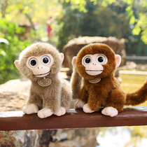 仿真猴子公仔玩偶毛绒玩具可爱猩猩娃娃玩偶迷你小号摆件女孩礼物