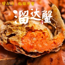 蟹稻家盘锦鲜活稻田河蟹母蟹2.3-2.6两 4斤