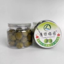 清绿梅园蜂蜜爽脆梅酥梅古式话梅陆河青梅特产休闲零食400罐装