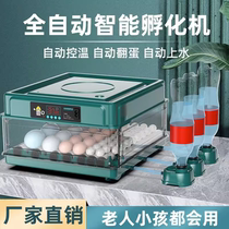 孵化器小型家用型全自动智能水床孵化箱芦丁鸡孵化器孵化机孵蛋器