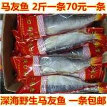 马友鱼干 淡口咸鱼干 广东特产 2斤一条 一件包邮 海味海鲜干货