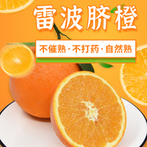 四川大凉山雷波脐橙新鲜水果当季手剥橙四川橙子礼盒精品产地直发