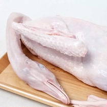 广州发货新鲜朗德鹅肉约6斤无掌翅一个用于烧鹅卤鹅玉米喂养包邮