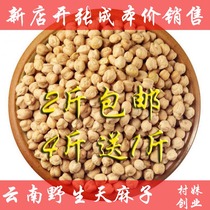云南野生天麻子 炖汤  鹰嘴豆 天麻籽 长寿豆 2斤包邮