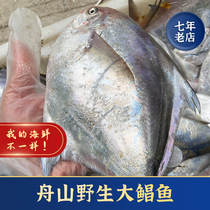 液氮急冻鲳鱼扁鱼平鱼白银鲳鱼，6-8两/条，2斤1份