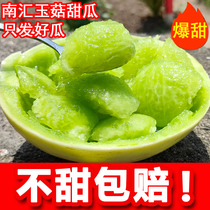 正宗上海南汇玉菇甜瓜10斤当季新鲜水果玉茹蜜瓜香瓜青皮绿肉现摘