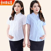 孕妇衬衫短袖白色短款职业工作服新款夏季蓝色OL工装半袖面试衬衣