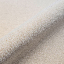 素色地毯家用沙发地垫商用办公室大面积全铺纯色奶油风拍照背景毯