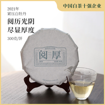 政和白茶2021年新茶春季松压高山老树茶叶礼盒装牡丹饼300g