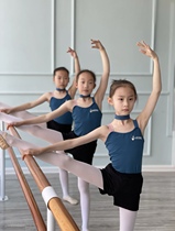 芭蕾舞练功服儿童女吊带体操服专业形体服连体服舞蹈纱裙夏艺考服