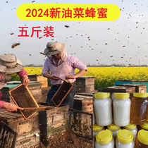 五斤装天然野生油菜蜂蜜结晶蜂蜜2500g原蜜农家自产